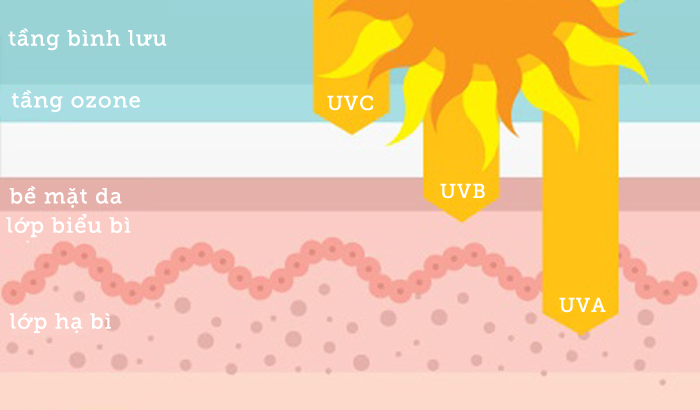 Tìm Hiểu Về Tia UV